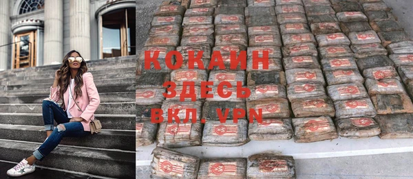 spice Алзамай