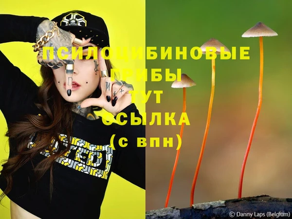 каннабис Алексеевка