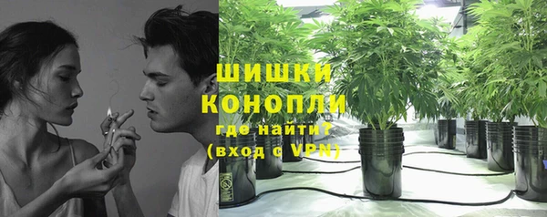 бошки Алексин